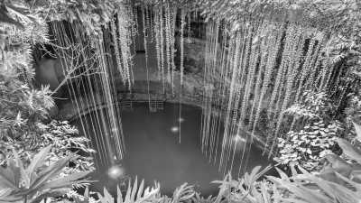 Mexiko - Playa del Carmen - Mexico's Pacific & Atlantic Coast all in one trip - Puerto Escondido & Playa del Carmen (*FOR ANIKA ONLY*) 🇲🇽🏖🌊🌮 - 9