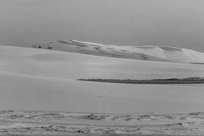 Brazil - Siriú - Into the Wild: Brazil’s Southern Jungle Adventure with a Local - 3