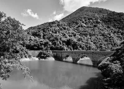 Hongkong - Tai Tam Reservoir - Enjoy Chinese New Year in Hong Kong (dragon dances, landmarks, museums, shopping) - 1
