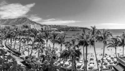 Spanien - EINZELZIMMER: KARNEVAL auf Gran Canaria ☀️ Coworking oder Urlaub im März - JoinMyTrip