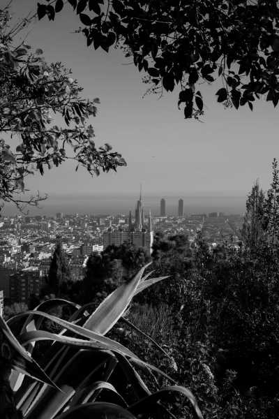Spain - Montjuïc - Barcelona Art Residency: Experience the City Through Art