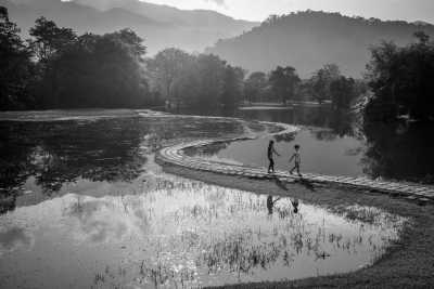 Malaysia - Taiping - Embrace the Best of Malaysia: Rainforests, History, Culture, and Food in Perfect Balance! - 1