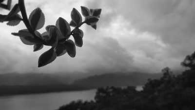 Indien - Umiam Lake - Rejuvenate in the Clouds: ABODE MEGHALAYA's Fusion of Culinary Delights and Adventures! - 4