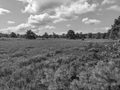 Germany - Schneverdingen - 4-Tage wandern in der Lüneburger Heide - 5