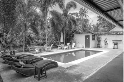 Costa Rica - Puerto Viejo de Talamanca - Work and Live in Costa Rica's Wonderful South Caribbean Side! - 6