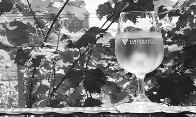 Poland - Sandomierz - Unique Poland for Beginners Experience: Royal cities, UNESCO Sites, and Food and Wine tours! - 7