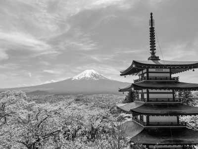 Japan - Hakone - JAPAN HIGHLIGHTS TOUR 12 Days EXCLUSIVE with train pass🔴! Cherry Blossom and more in 2026. - 1