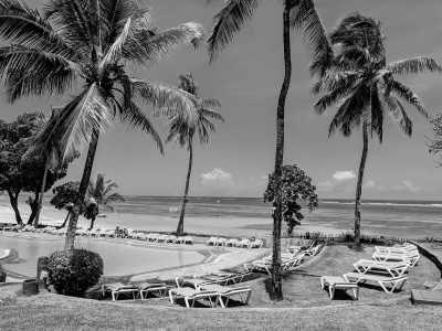 Kenya - Nyali Beach - Kenya Uncovered: Dive into the Beauty of Mombasa Coastal Gem! - 1