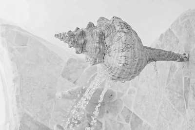 Mexico - Isla Mujeres - Famous Seashell House 🐚 Isla Mujeres, Mexico - 7