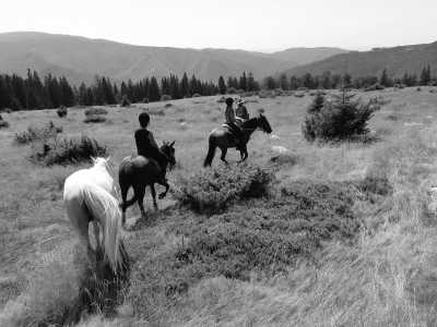 Romania - Comăna de Sus - Romania On Horseback - Horses and Unforgettable Memories - 2