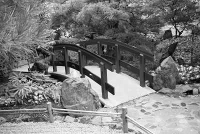 Kanada - North Saanich - Let's explore British Columbia's capital, Victoria, on beautiful Vancouver Island! - 3