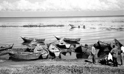 Uganda - Entebbe - Uganda: 🦍 Hike to wild Mountain Gorillas, 🦏 Track Rhinos, 🌅 Lake Victoria cruise, White water rafting, Stand on the equator line & visit Entebbe, Kampala & Jinja towns - 3