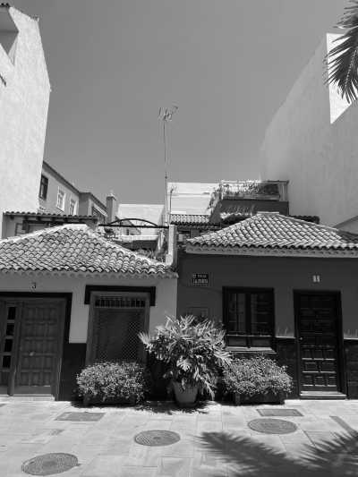 Spanien - San Cristóbal de La Laguna - ONE spot left ! Workation, Island Style 🎭 Carnaval Edition 🎭 16 Days or 7 Days Co-working from Digital Nomads paradise Tenerife 🌋 - 2