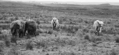 United Kingdom - Fort William - Travel Scotland to Remote Islands