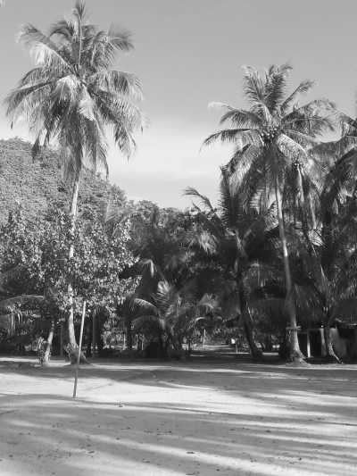 Indonesien - Pasumpahan - Natural Island Camping Gem Sumatra, Indonesia: 6-Day Camping Adventure on Pristine Islands and City Tour - 10