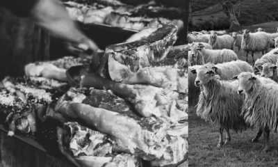 Spanien - Casa Julián - San Sebastian Food Trip: Experience Basque Cuisine with a Michelin-Experienced Guide in Spain