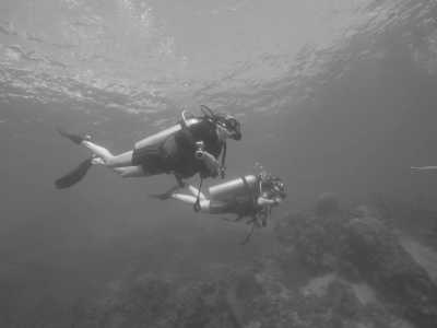 Thailand - Ko Tao - 🇹🇭 Entdecke Thailand's Unterwasserwelt - lerne Tauchen auf Koh Tao - inklusive Tauchschule / 6 Tauchgänge 🤿🌅🌴🍺 - 4