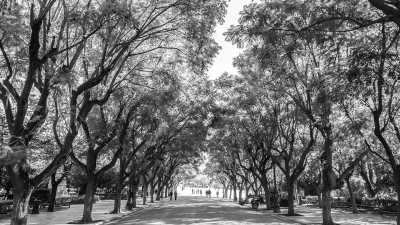 Griechenland - Athens - Athens with a local! Explore neighbourhoods, traditional musical fiestas, history and food!!! - 3