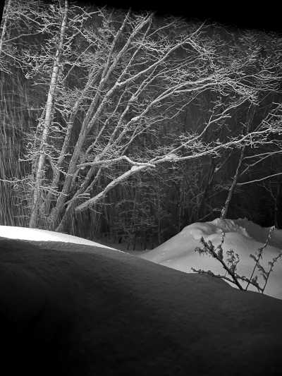 Japan - Niseko - Niseko Powder Ski & Tokyo - 7