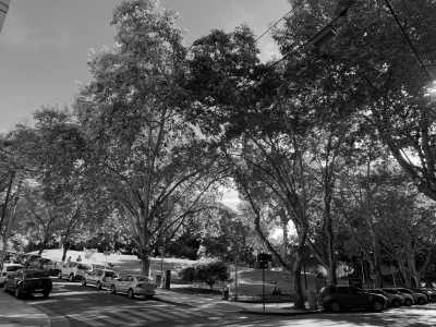 Argentina - Buenos Aires - Touchdown Buenos Aires: Week-Long Coworking Trip In The Most Elegant South American Capital - 26