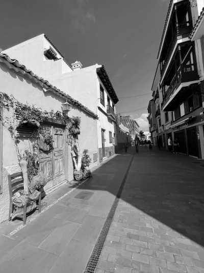 Spanien - Puerto de la Cruz - ONE spot left ! Workation, Island Style 🎭 Carnaval Edition 🎭 16 Days or 7 Days Co-working from Digital Nomads paradise Tenerife 🌋 - 5