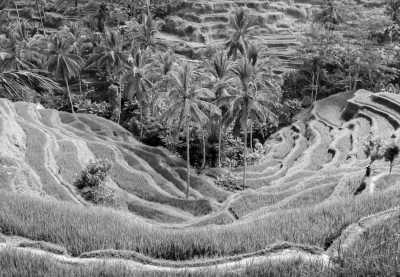 Indonesia - Ubud - Bali with Ashley Sellers - 3
