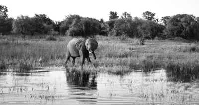 Subsahara-Afrika - Katima Mulilo - Namibia - Botsuana - Sambia - Simbabwe
