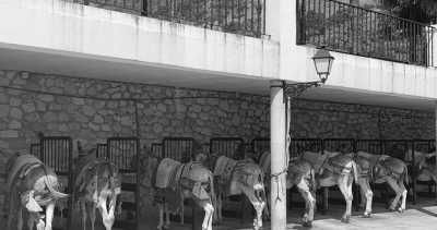 Spanien - Mijas Pueblo - Andalusien Sonne pur - 2