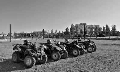 Marokko - BIO ET BOIS - Discover the Hidden Gems of Fez: A Journey Through Morocco's Cultural Capital - 4