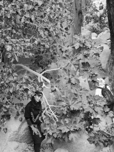 Egypt - Saint Catherine - Egypt Nature Retreat: Mountainous Getaway for Swimming and Relaxation - 2