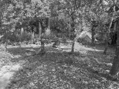 Niederlande - Utrecht - Share an Authentic Houseboat in The Netherlands for Coworking - 4