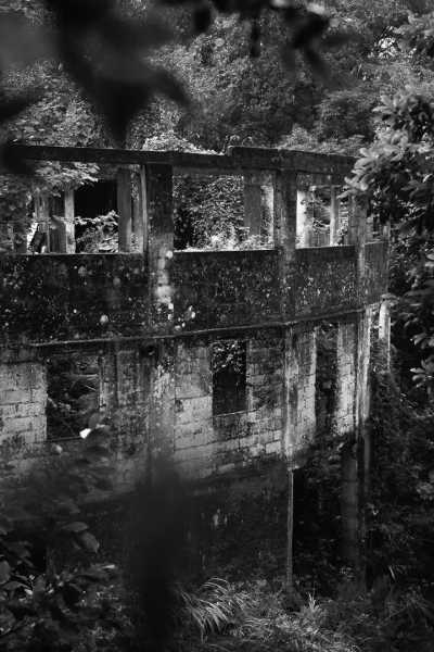 Portugal - Ribeiro Frio - Madeira  SPECIAL ADVENTURE - off the beaten path with a local Adventurer: João_lets_hike! - 3