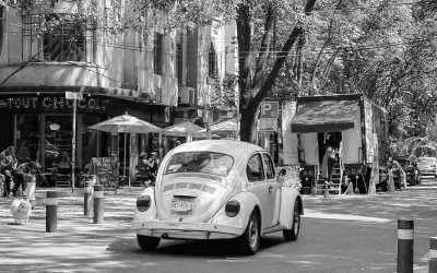 Mexico - La Condesa - Experience Mexico City Like Never Before on our 8-Day Female-Only Coworking Adventure!