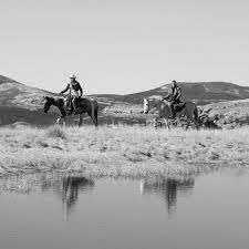 South Africa - Durban - Trip to Khotso, South Africa-Enjoy Horse Trails, Adventure and Wildlife ☀️🏇😊 - 4