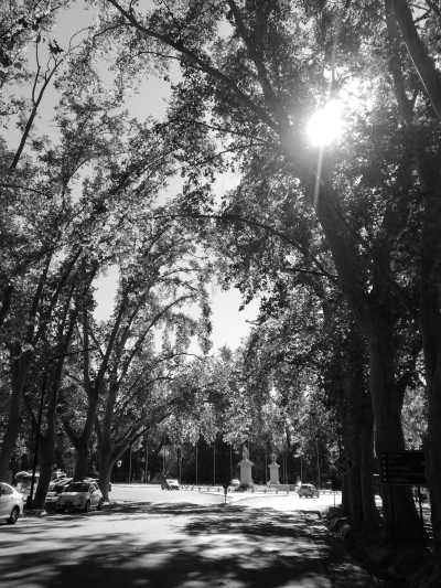 Argentina - Mendoza - Discover Mendoza, Argentina with a local: Mountains, Wine & Food Culture and more! - 2