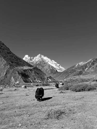 Nepal - Samdo - Manaslu Wilderness Trek – Explore the Remote Himalayas in 15 Days - 3