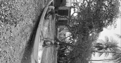 Western Africa - Buniadu - Abenteuerreise nach Afrika - Gambia 😊 - 18