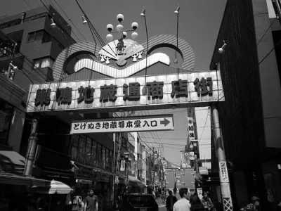 Japan - Toshima City - All Of Japan: Gastronomy, Cultural, Adventure Including Mt.Fuji, Toyko, and Okinawa