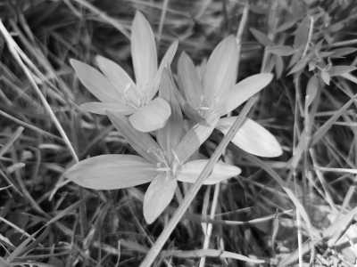 Slowakei - Staré Hory - Wilderness and Tranquility: Hiking Adventure in Great Fatra National Park in Slovakia - 6