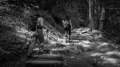 Deutschland - Starzlachklamm - A Magical Experience | Walkshop | Allgäu | Fellhorn Ridge | German Alps | 4 days - 6