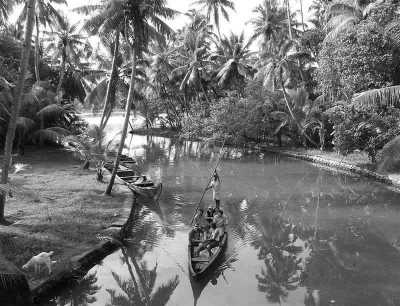 India - Munroe Island - Travel Like A Local Discovering The Offbeat Gems Of Kerala, India - 1