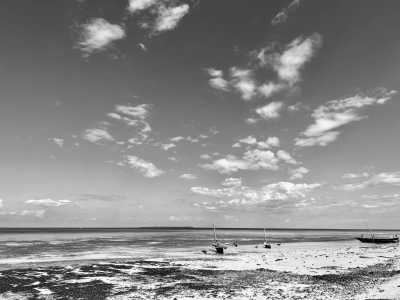 Tanzania - Jambiani - Zanzibar Coworking Experience: Your Journey Starts Here - 7