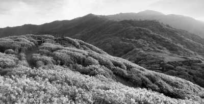 Korea, South - Suncheon-si - 🌸Great Discovery in South Korea: Exploring City and Historical Site, Surfing Adventure, Nature Exploring on Jiri Mountain, and Local experience in Jimjilbang! - 1