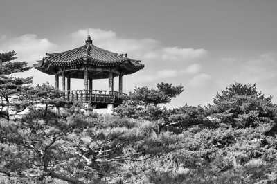 Welt - Seoul - Weltreise - Afrika, Asien & Amerika - 5