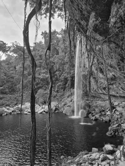 Mexiko - Palenque - Day of the Dead Roadtrip in Mexico - 7