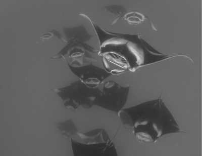 Maldives - Rahaa Resort - Malediven - The Healing Ocean Yoga Retreat - 8