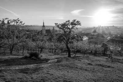 Tschechien - Prague - Experience the Best of Prague and Kutna Hora: A Local's Guide to a Memorable Summer Weekend - 1