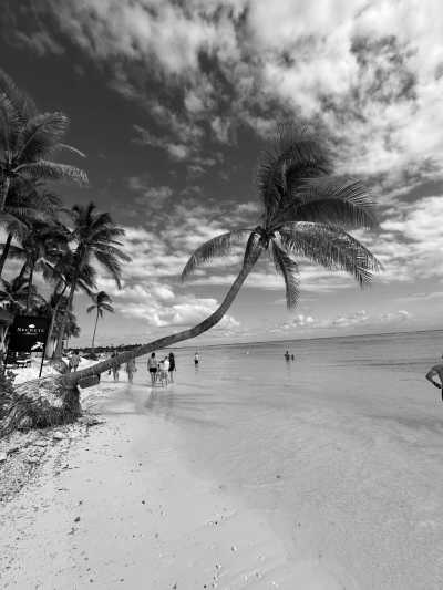 Mexico - Cancún - Yucatan Fiesta Adventure with Cookie - 1