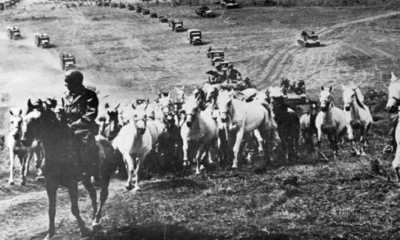 Czechia - Bělá nad Radbuzou - Dog-Friendly Hike Through Chodsko and Upper Palatine Forest: Unraveling WWII History in Czechia - 3-Day Adventure