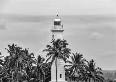 Sri Lanka - Galle - 8-Day Sri Lanka Itinerary: Explore, Indulge, and Immerse in Tropical Splendors - 1